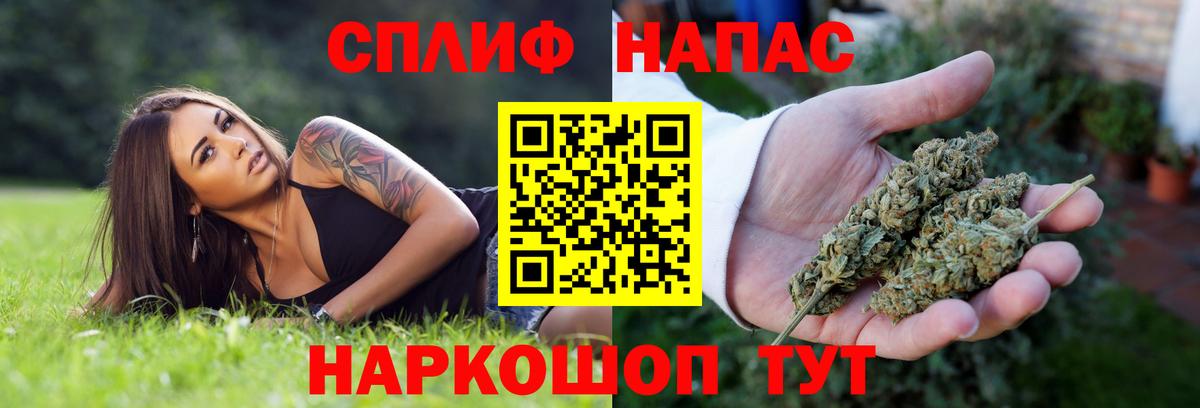 Каннабис ГИДРОПОН  Бошки марихуана планчик  Вход с VPN  Новоалтайск 